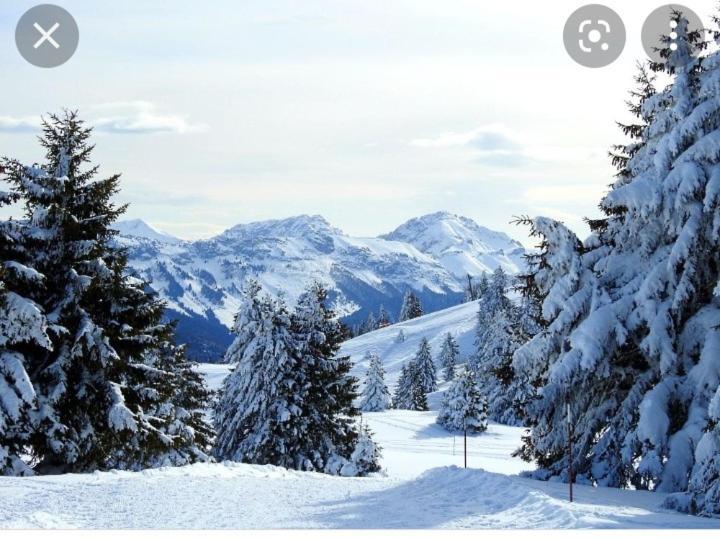 L'Oree Des Bois , Detente Et Calme . Mesigny Exteriér fotografie