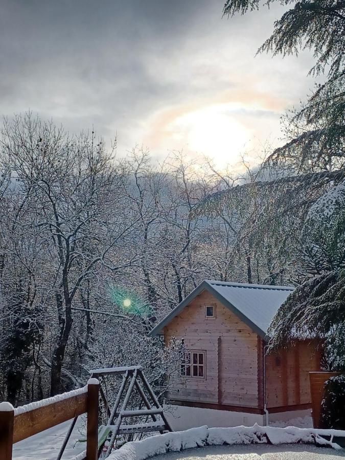 L'Oree Des Bois , Detente Et Calme . Mesigny Exteriér fotografie